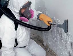  , CA Mold Prevention & Removal Pros